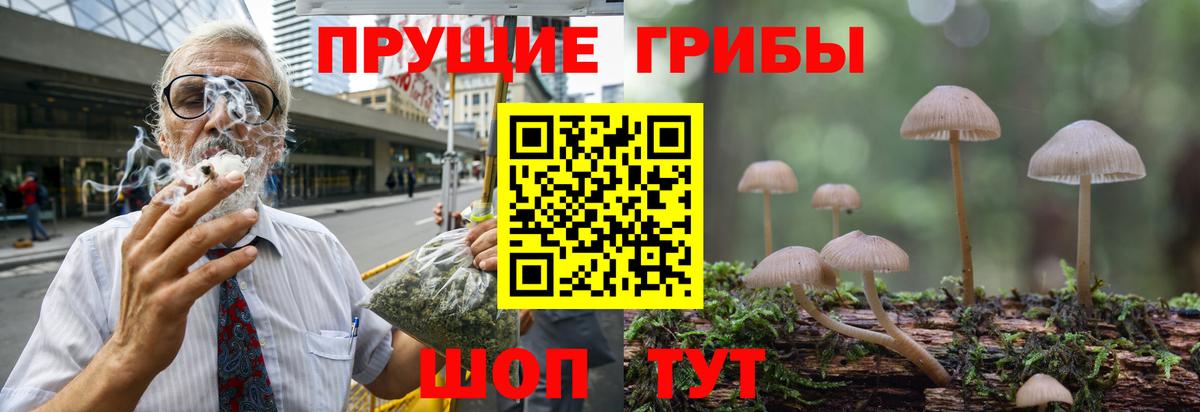 Галлюциногенные грибы Psilocybine cubensis  Вход с VPN  Котельники 